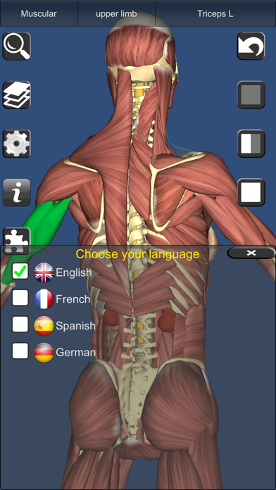 3D Anatomy Learning