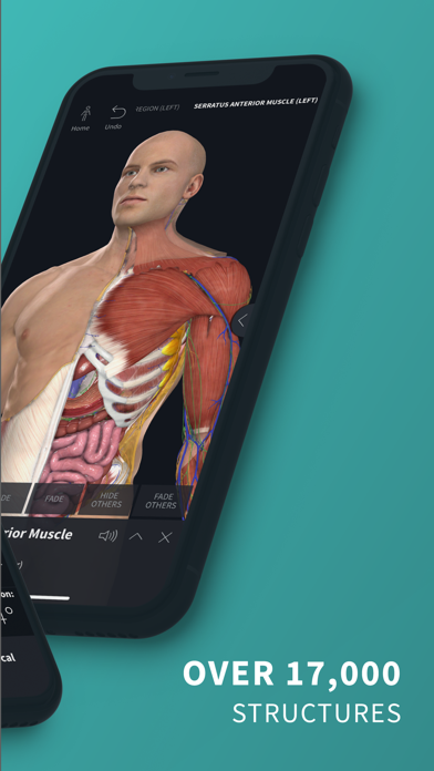 Complete Anatomy Platform ’20