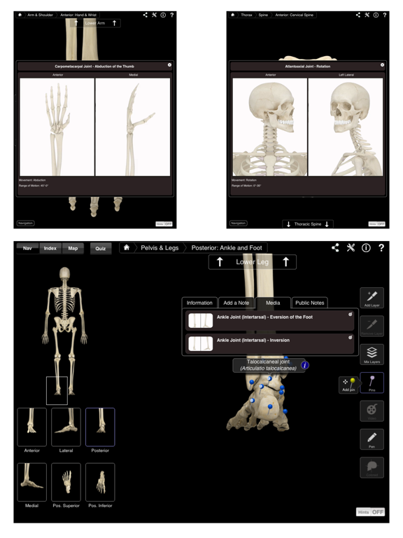 Skeleton System Pro III